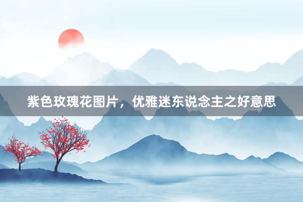 紫色玫瑰花图片，优雅迷东说念主之好意思