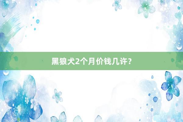 黑狼犬2个月价钱几许？